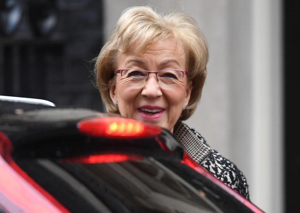 Leader of the House of Commons Andrea Leadsom reportedly criticised her Cabinet colleagues (Picture: PA)