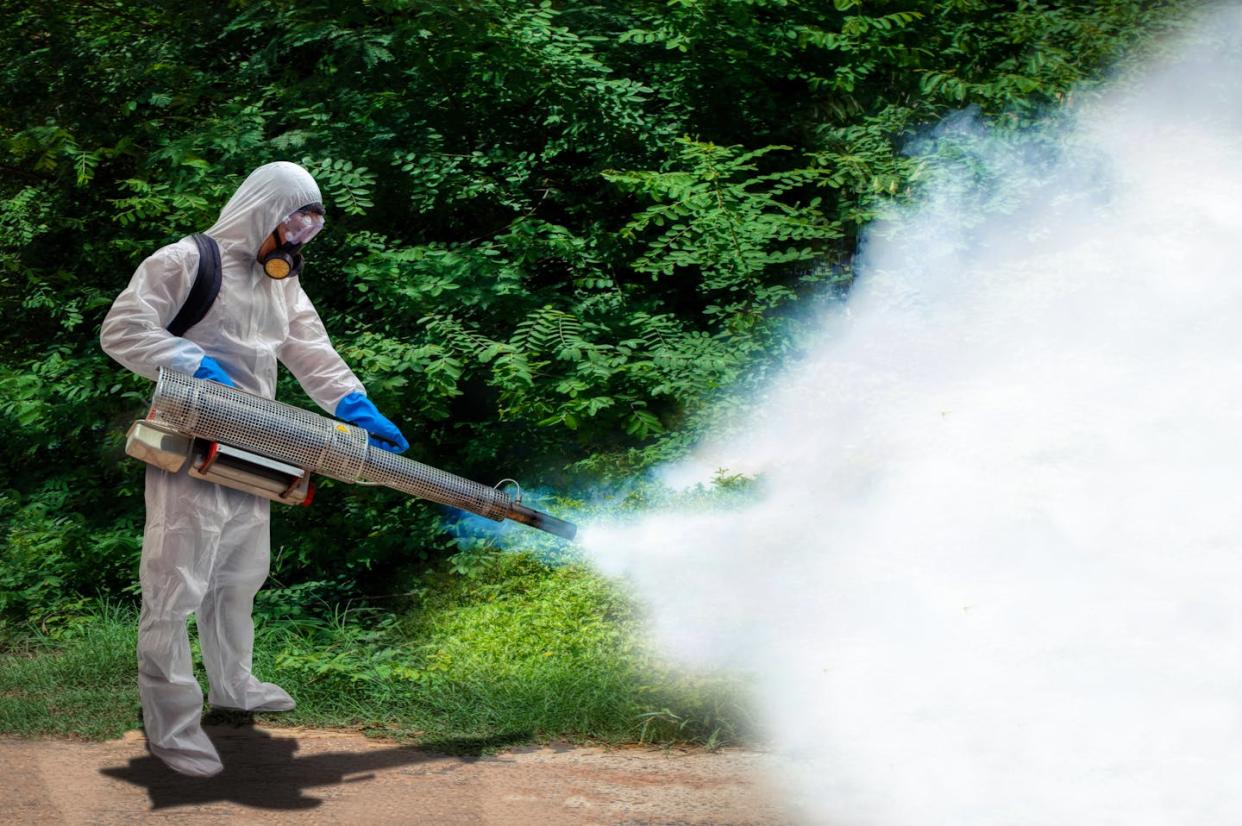 Labores de fumigación para evitar la expansión del mosquito 'Aedes', vector del virus del dengue. <a href="https://www.shutterstock.com/es/image-photo/health-center-staff-spraying-smoke-get-1743306749" rel="nofollow noopener" target="_blank" data-ylk="slk:Engineer studio / shutterstock;elm:context_link;itc:0;sec:content-canvas" class="link ">Engineer studio / shutterstock</a>