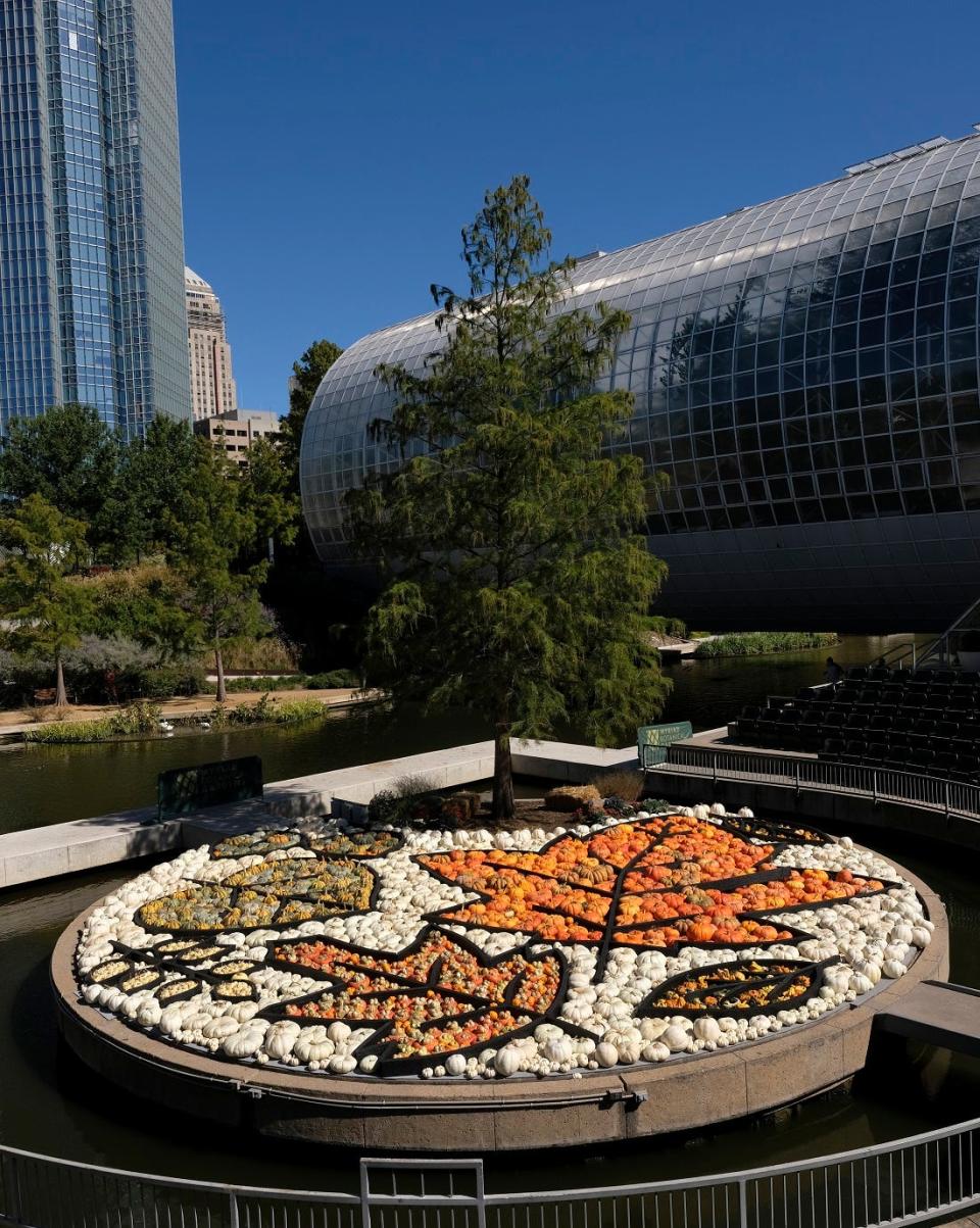 Local artist Nick Bayer's giant pumpkin mosaic of fall leaves was on display on Oct. 12, 2020, on the Myriad Gardens Water Stage.