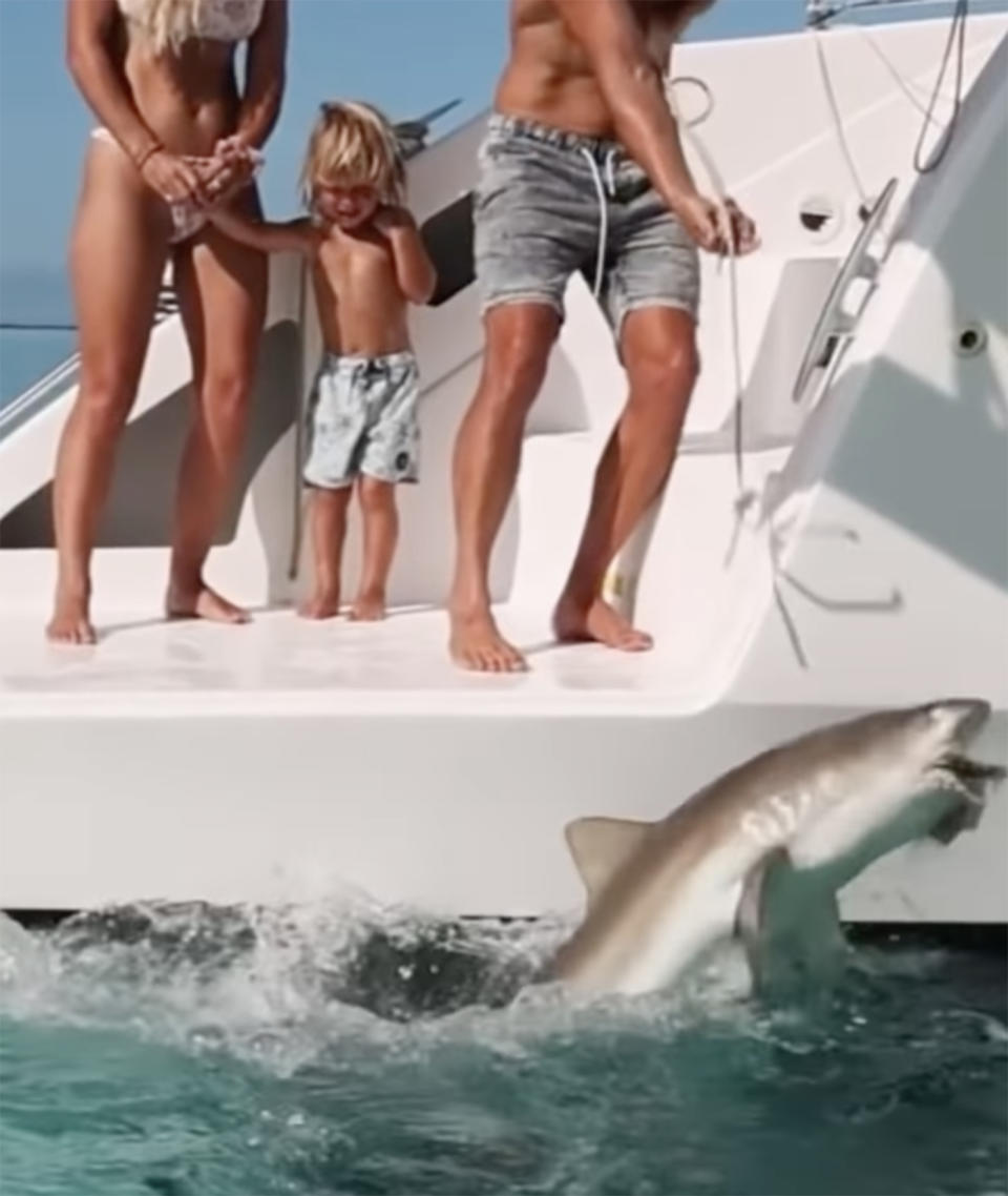 The couple standing on the side of their boat hand-feeding a shark off the side of their boat with their son Lenny. 