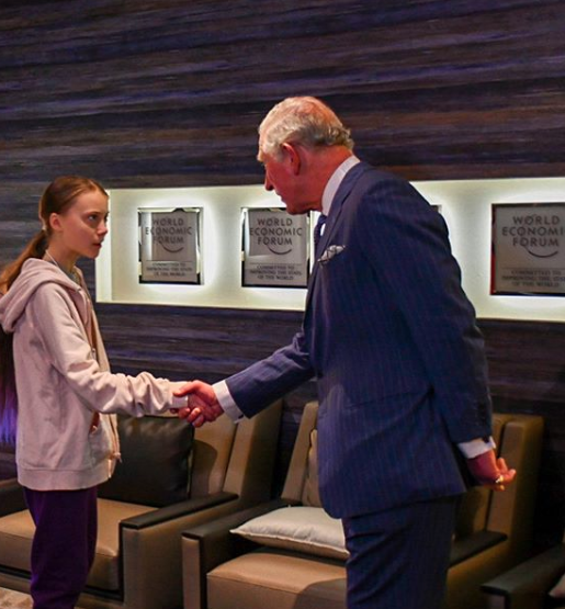 Greta Thunberg shakes hands with Prince Charles