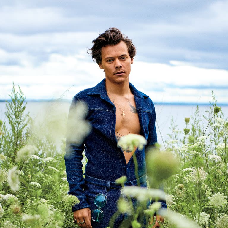 Harry Styles, el último gran fenómeno pop