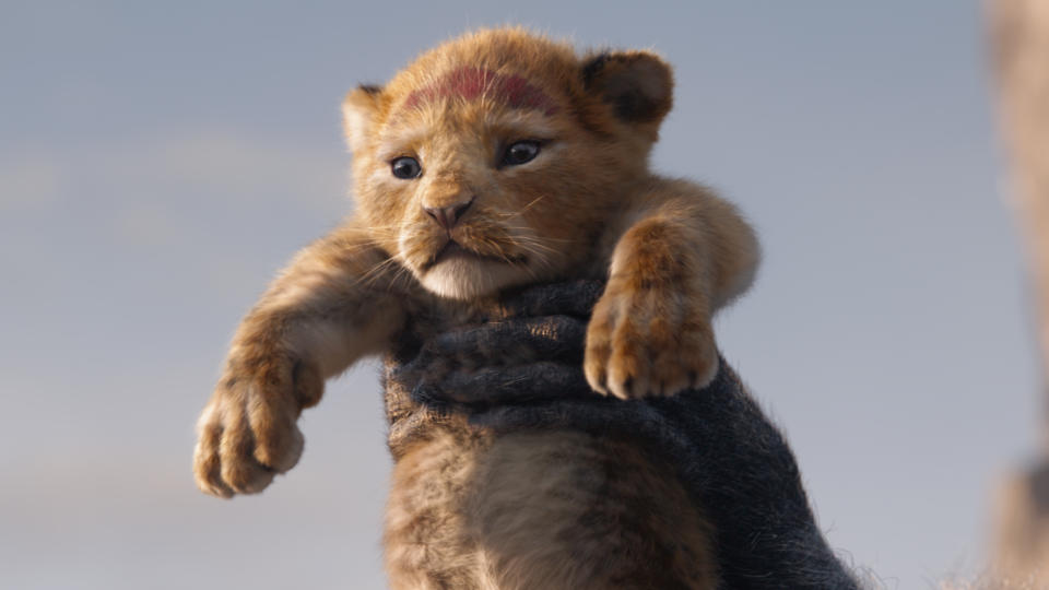 Jon Favreau's new take on 'The Lion King' borrows numerous shots from the 1994 original version. (Credit: Disney)