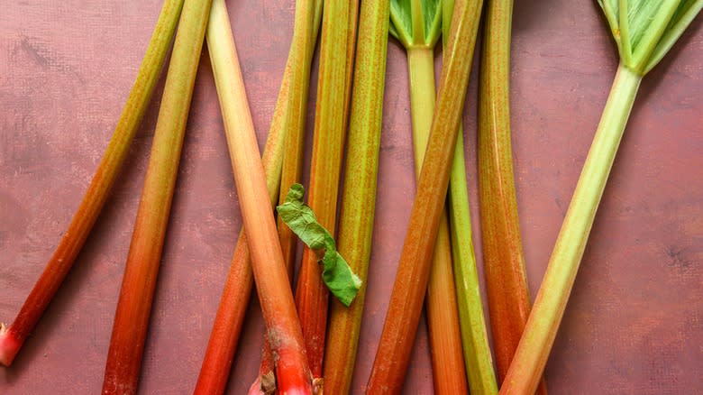 Colorful rhubarb stalks