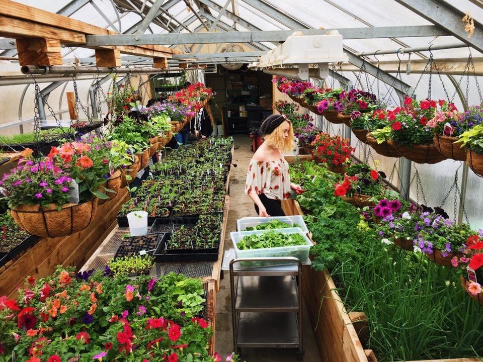 Inside one of the greenhouses used by the school program.