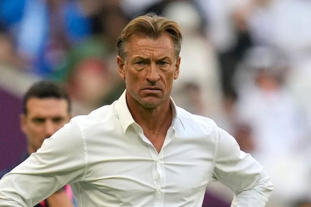 Frenchman Herve Renard new Ivory Coast coach