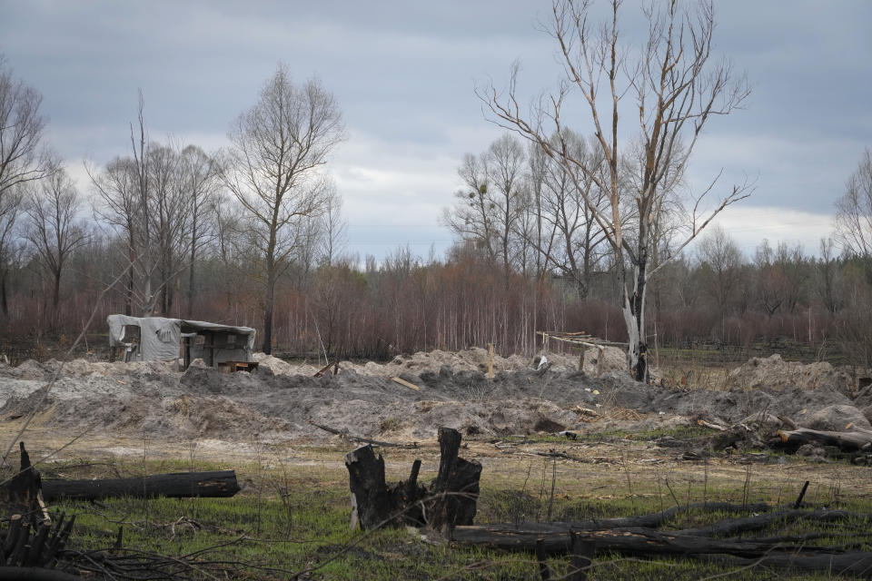 Russian trenches and firing positions sit in the highly radioactive Red Forest adjacent to the Chernobyl nuclear power plant near Chernobyl, Ukraine, Saturday, April 16, 2022. Thousands of tanks and troops rumbled into the forestedl exclusion zone around the plant in the earliest hours of Russia’s invasion of Ukraine in February, churning up highly contaminated soil from the site of the 1986 accident that was the world's worst nuclear disaster. (AP Photo/Efrem Lukatsky)