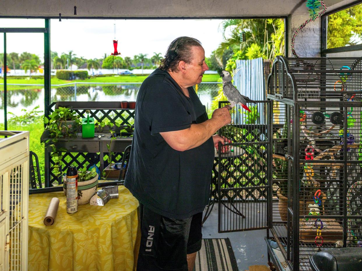 Roy speaks to his pet African Gray