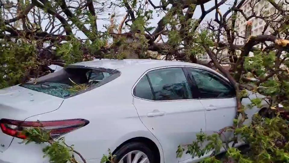 Typhoon Mawar topples full-grown trees onto cars in Guam (Tobias Alejandro via REUTERS)