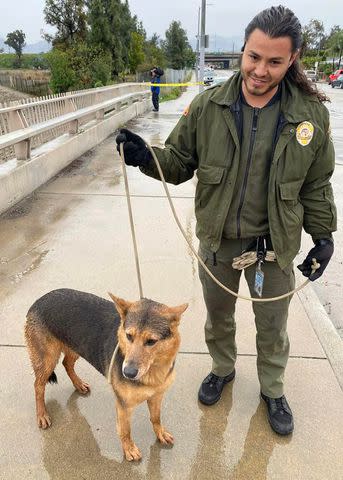 <p>Los Angeles Fire Department</p> Dog that man tried to save from river alongside Los Angeles Animal Services