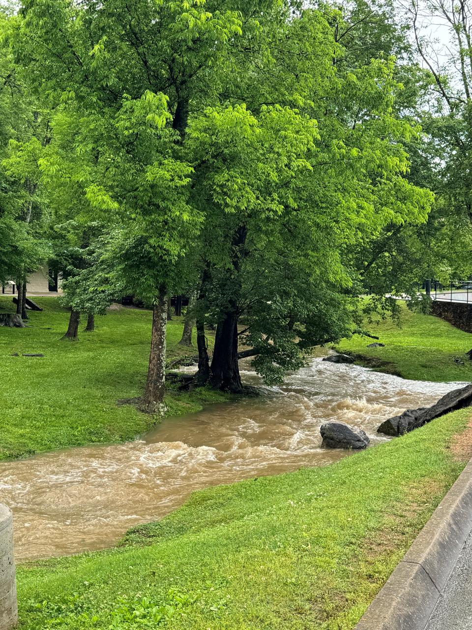 The north fork of Turkey Creek in Farragut's Anchor Park is full with rain water May 9.