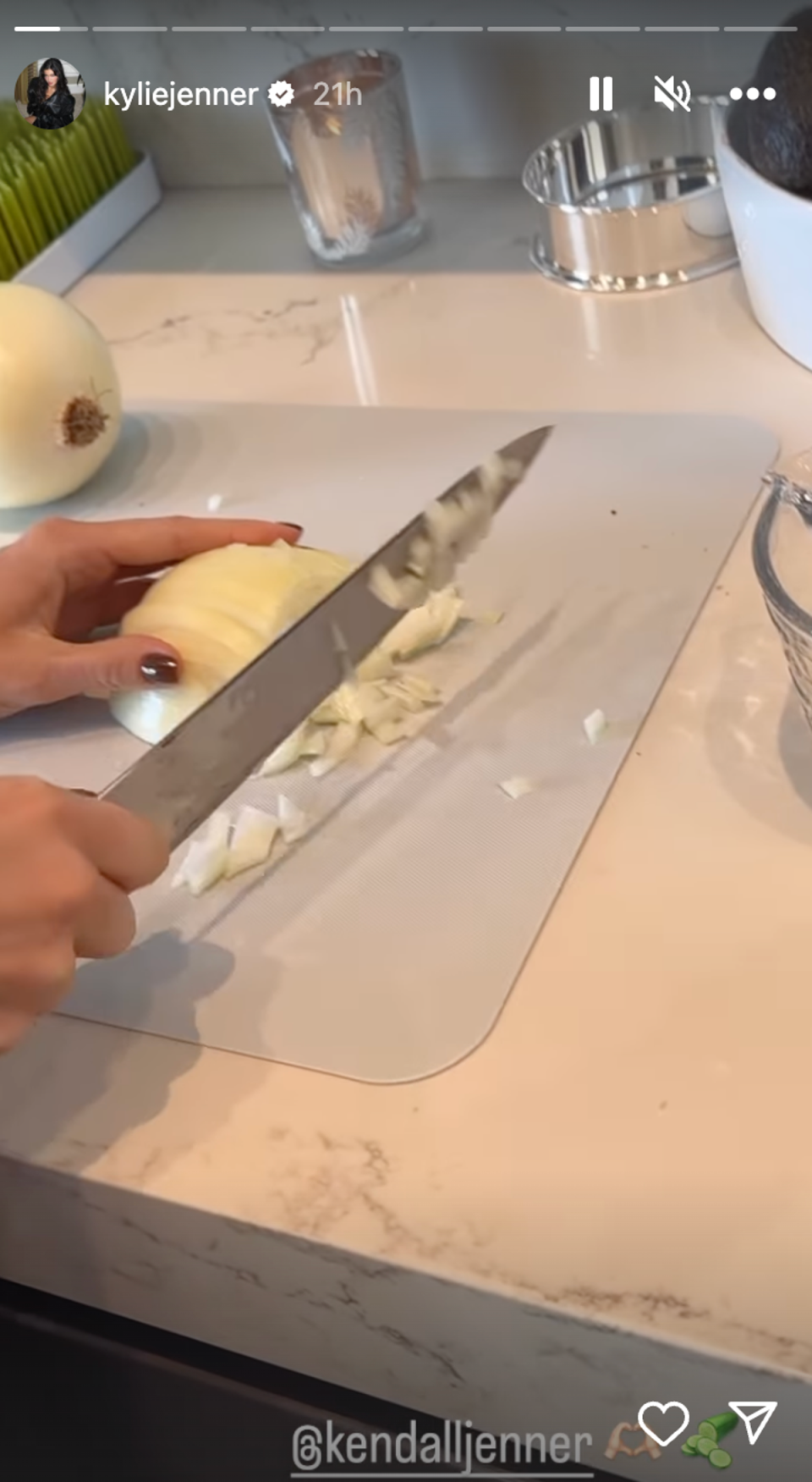 Kylie Jenner films sister Kendall cutting an onion on Thanksgiving (Kylie Jenner on Instagram)