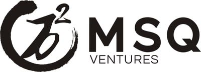 MSQ_Ventures__Logo