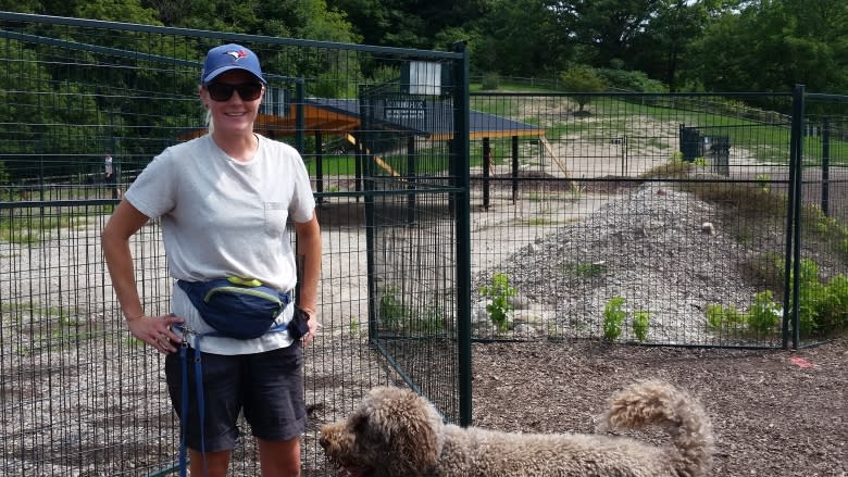 Dog walkers frustrated with $135K dog park shelter 'marred by problems'