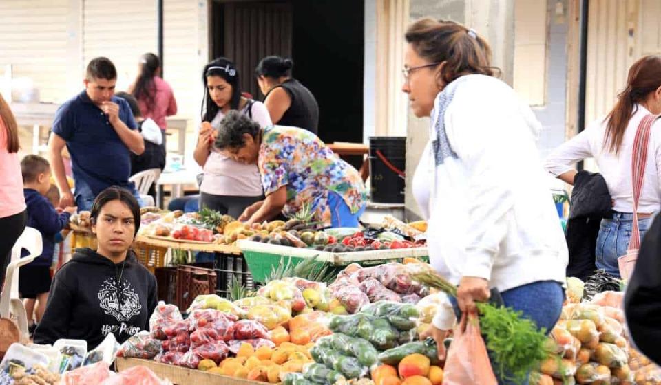 Con un presupuesto dee $200.000 puede hacer un mercado robusto. Foto: MinTransporte