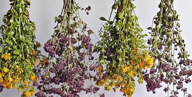 A step-by-step guide to drying flowers