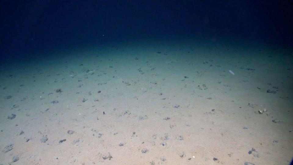 Nódulos metálicos en el fondo del océano