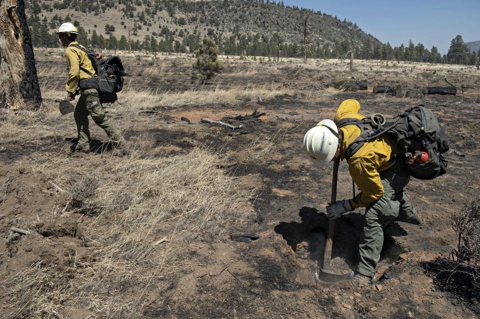 <span class="caption">Fire crews dig at burning roots in the wake of a fire near Flagstaff, Ariz., in April 2022.</span> <span class="attribution"><a class="link " href="https://newsroom.ap.org/detail/WesternWildfires/df543b966a4a4115b5e81d2d8dd9a8d4/photo?" rel="nofollow noopener" target="_blank" data-ylk="slk:Tom Story/Northern Arizona Type 3 Incident Management Team, via AP;elm:context_link;itc:0;sec:content-canvas">Tom Story/Northern Arizona Type 3 Incident Management Team, via AP</a></span>