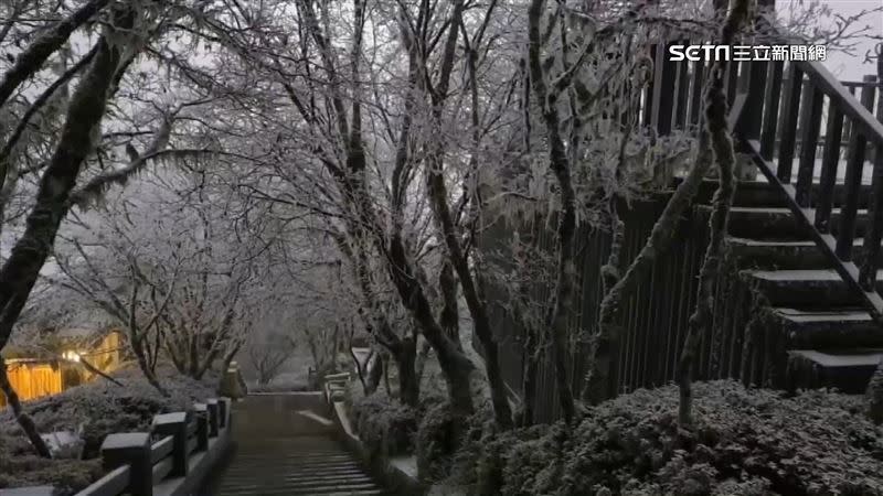 降雪後的太平山森林遊樂區變成銀白世界。