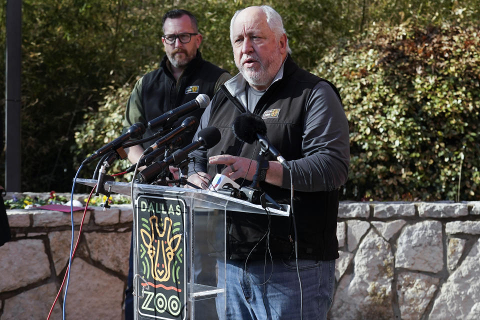 Gregg Hudson, foreground, executive director and CEO of Dallas Zoo Management, Inc., responds to questions during a news conference at the zoo as Harrison Adell, left, executive vice president of animal care and conservation for the zoo, listens, Friday, Feb. 3, 2023, in Dallas. (AP Photo/Tony Gutierrez)