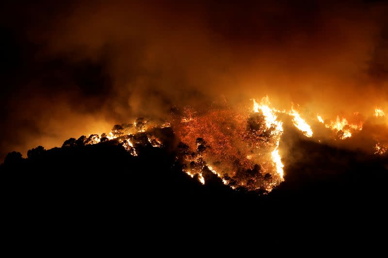 A forest fire is seen in Benahavis