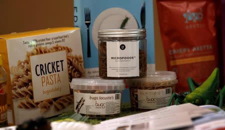 Food products made with insects in the ingredients are displayed during the 'Eating Insects Detroit: Exploring the Culture of Insects as Food and Feed' conference at Wayne State University in Detroit, Michigan May 26, 2016. REUTERS/Rebecca Cook