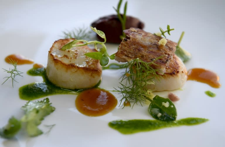 Seared scallops -- a prized seafood delicacy