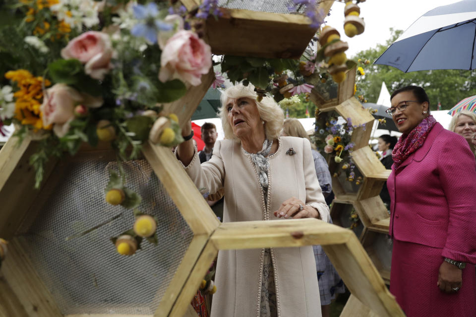 FILE - Britain's Camilla Duchess of Cornwall places a bee made out of Craspedia flowers, birch wood slices and leaves on the McQueens Flower School stand as she attends the Bees for Development biennial Bee Garden Party at Marlborough House in London, Wednesday, June 12, 2019. (AP Photo/Matt Dunham, Pool, File)