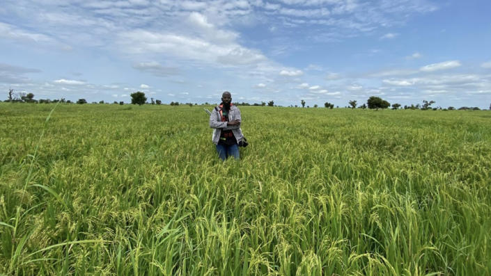 Man standing in a paddy field