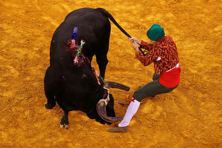 FILE PHOTO: A member of the Aposento do Barrete Verde forcados group performs during a bullfight at Campo Pequeno bullring in Lisbon, Portugal October 11, 2018. REUTERS/Rafael Marchante/File Photo