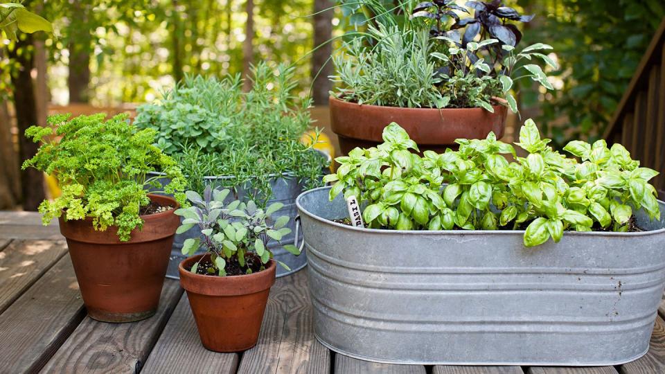 Galvanized Tubs