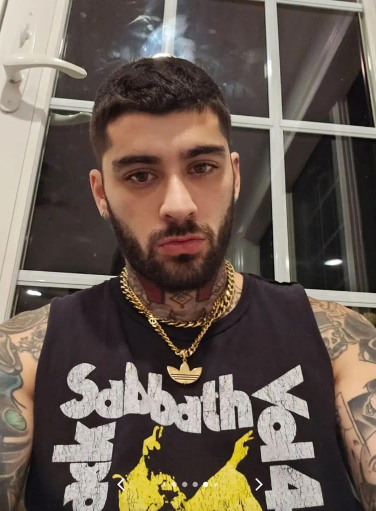 Singer Zayn Malik is of mixed Pakistani-British heritage. TikTok/@samfisher98