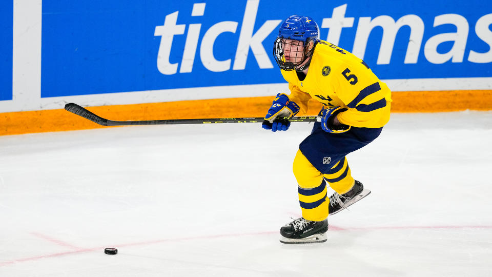 Tom Willander would be a good NHL draft target for the Leafs if he's still available at No. 28. (Photo by Jari Pestelacci/Eurasia Sport Images/Getty Images)