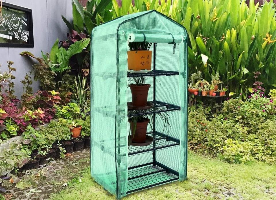 Pop up greenhouse with plastic covering