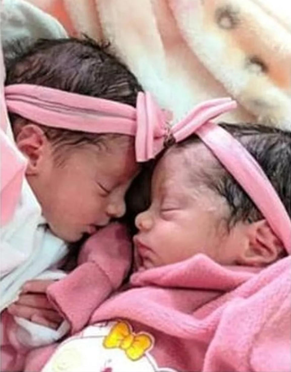 A photo of the newborn twin babies who were killed in a Brazil dog attack.