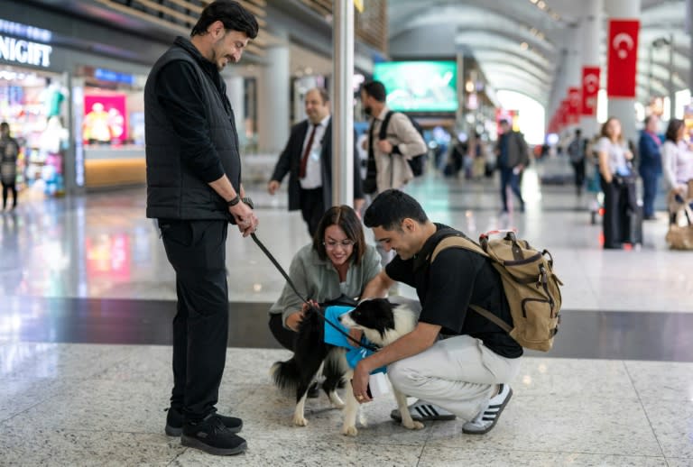 Viajeros acarician a un perro de terapia antes de tomar un vuelo en el Aeropuerto de Estambul, Turquía, el 3 de mayo de 2024 (Yasin AKGUL)