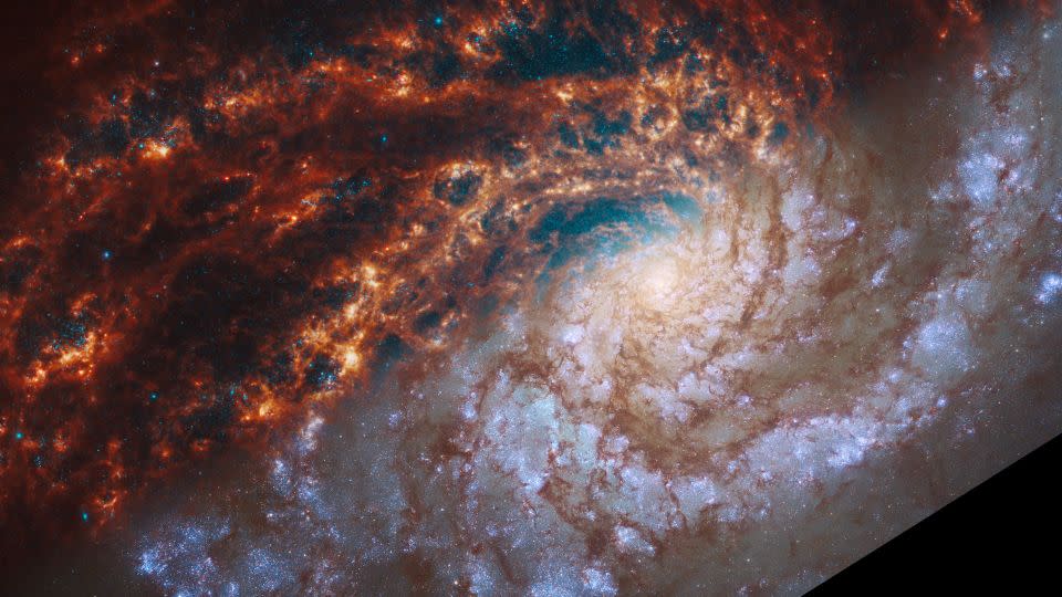 Dieses Bild zeigt Beobachtungen der Galaxie NGC 4254 mit Webb-Teleskopen (oben links) und Hubble (unten rechts). - NASA, ESA, CSA, STScI, Janice Lee (STScI), Thomas Williams (Oxford), PHANGS-Team