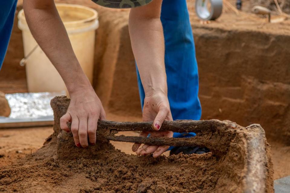 Dr. Atwell prepares to lift a tibia and fibula from the soil at the Camden excavation site.