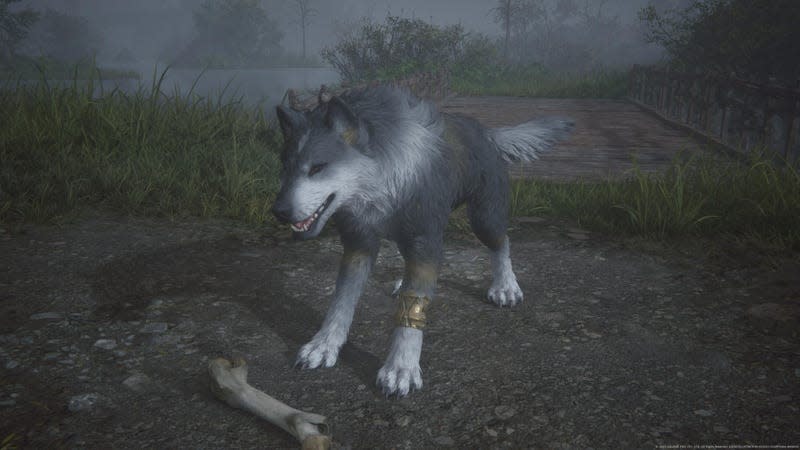A gray and white wolf-like creature is seen with a large bone before him.