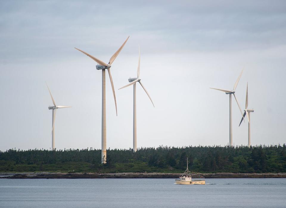 A wind plant in Nova Scotia. The role of wind power, which is one of the cheapest sources of energy, is set to dramatically expand in a net-zero emissions future.  (Andrew Vaughan/The Canadian Press - image credit)