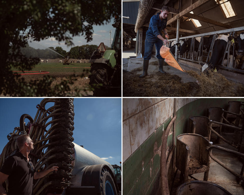 Farms like Luiten's across the Netherlands could soon shut down. (Alexey Yurenev for NBC News)