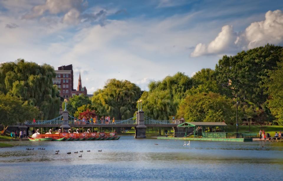 Meander Through the Public Garden