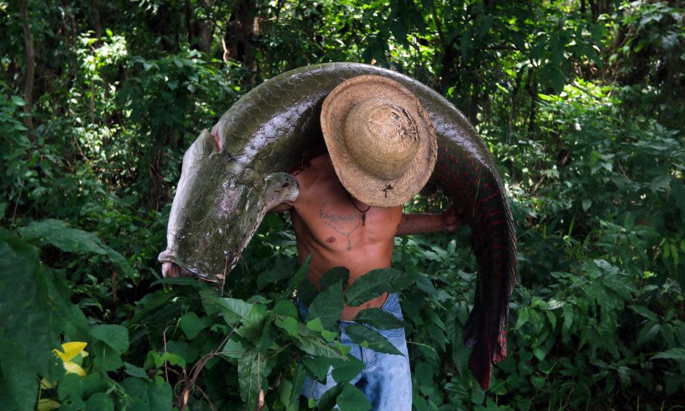 <span>Photograph: Ricardo Oliveira/AFP/Getty Images</span>