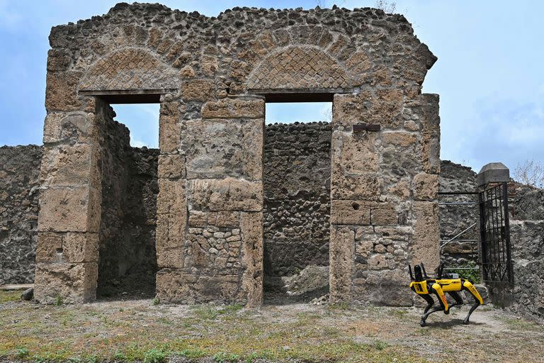 &quot;Spot&quot;, a quadruped robot developped by Boston Robotics, is displayed on June 9, 2022 during a presentation to the media at the Archaeological Park of Pompeii, near Naples, southern Italy. - Spot is one the latest monitoring operations of the archaeological structures, capable of inspecting the smallest of spaces in complete safety, gathering and recording data useful for the study and planning of interventions, to improve both the quality of monitoring of the existing areas, and to further our knowledge of the state of progress of the works in those areas undergoing recovery or restoration, and thereby to manage the safety of the site, as well as that of workers. (Photo by Andreas SOLARO / AFP)