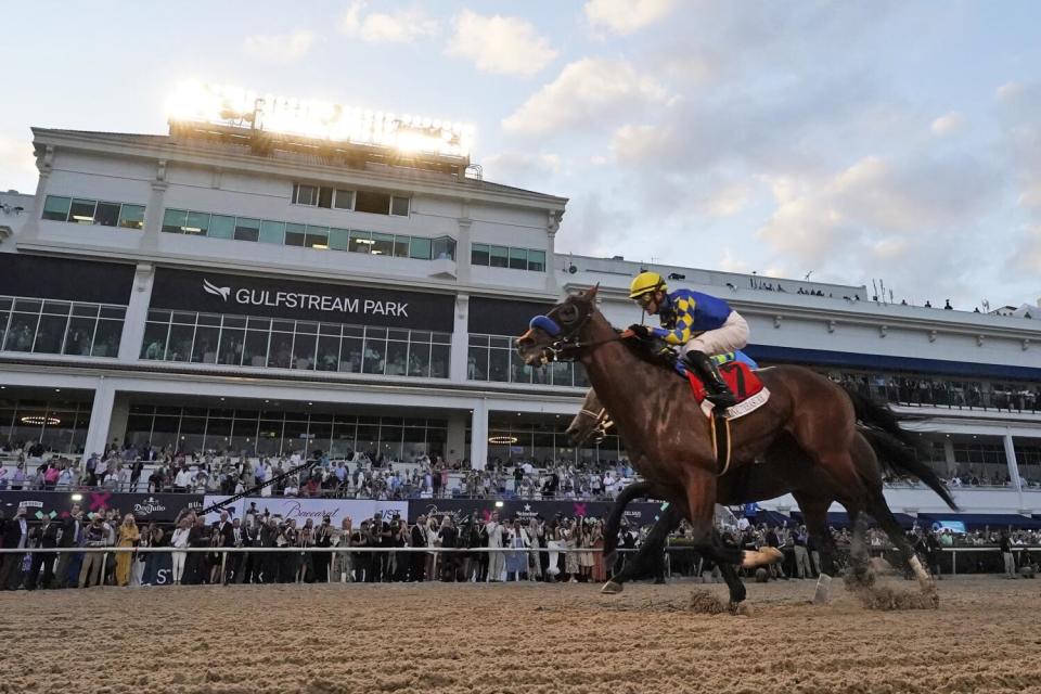 National Treasure crosses the finish line to win the Pegasus World Cup on Saturday.