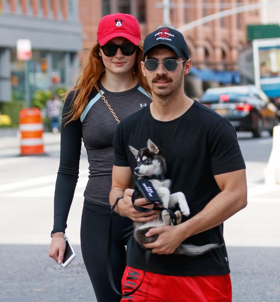 Sophie Turner Joe Jonas puppy dog NYC 2017