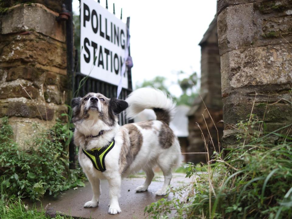 When there is a picture of a polling station, a dog is never far away (EPA)