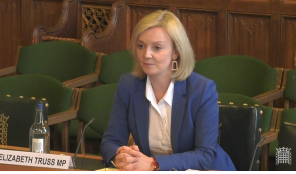 Liz Truss addresses the International Trade Committee. Photo: Parliamentlive.tv