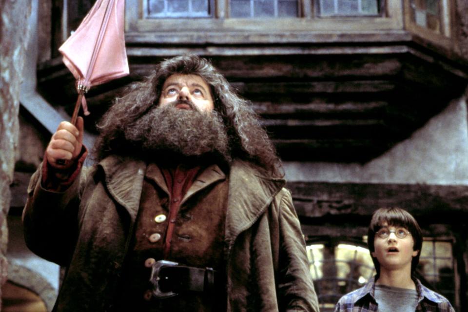 Robbie Coltrane and Daniel Radcliffe in 'Harry Potter and the Sorcerer's Stone'