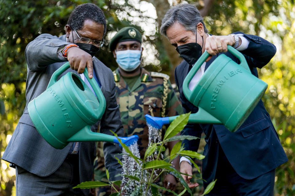 Secretary of State Antony Blinken and Kenya's Cabinet Secretary for the Ministry of Environment and Forestry Keriako Tobiko, left, plant a tree together during a visit to the Karura Forest in Nairobi, Kenya, Wednesday, Nov. 17, 2021. Blinken is on a five day trip to Kenya, Nigeria, and Senegal. (AP Photo/Andrew Harnik, Pool)